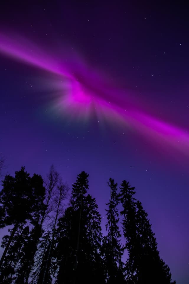AI Generated Image 6